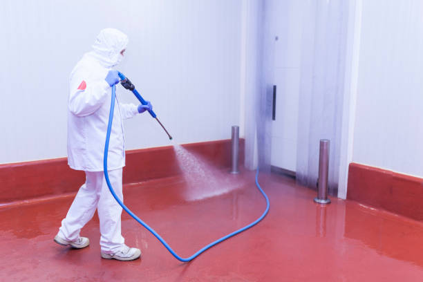 Best Building Exterior Washing  in Nocona, TX